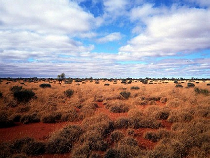 Бескрайние пустыни Австралии